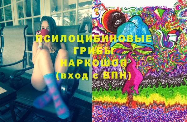 тгк Семёнов