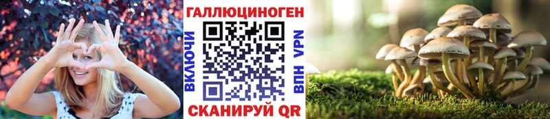 Псилоцибиновые грибы GOLDEN TEACHER площадка наркотические препараты Печоры